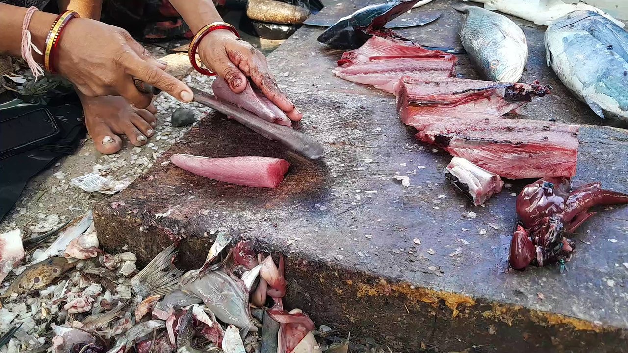 Fresh Tuna Fish Cutting at Fish Market  Expert Fish Cutting Skills