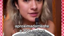 Una foca bebé fue encontrada dos veces en las calles