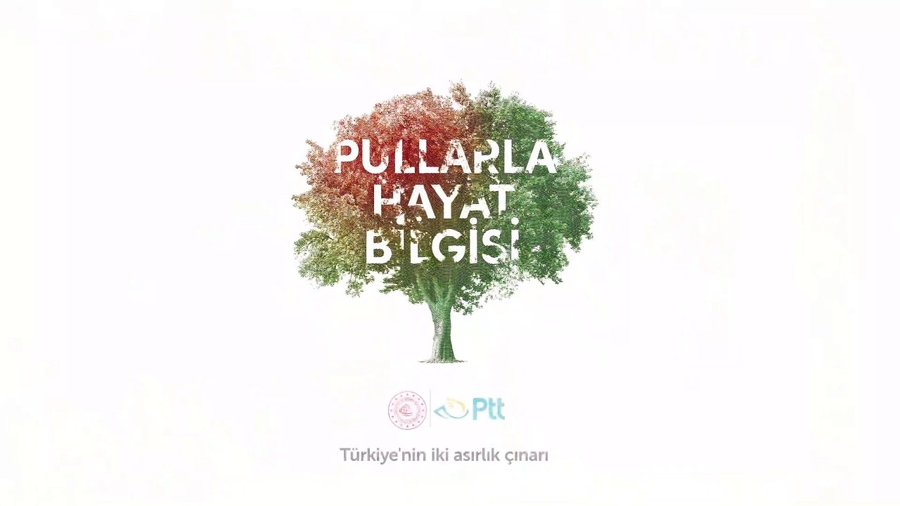 M Akif,12MART