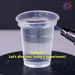 Curious? Let’s dive into today’s experiment!