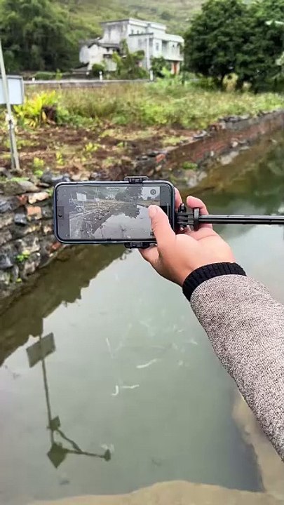 Curious about what's inside this river?