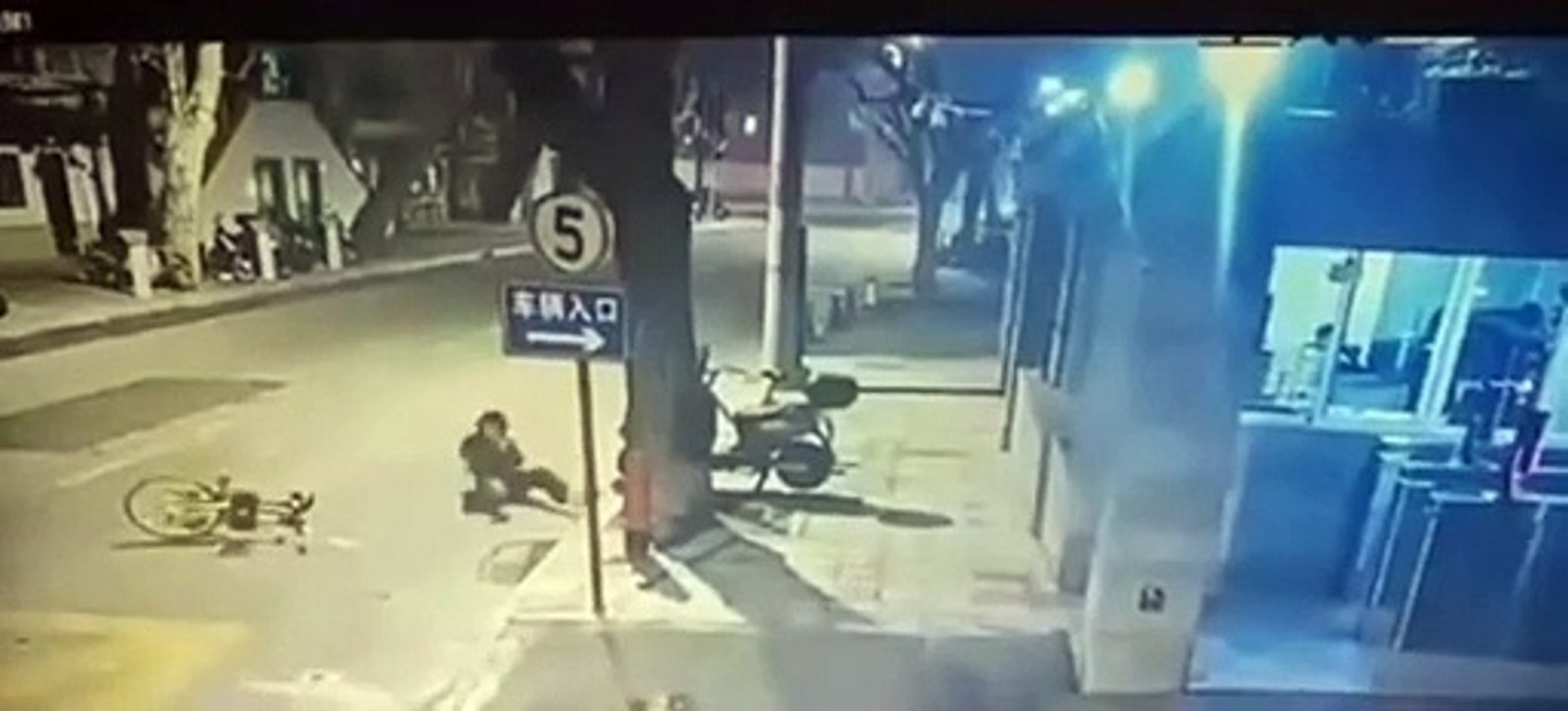 Ce chat a perdu sa 8eme vie et ce cycliste aussi