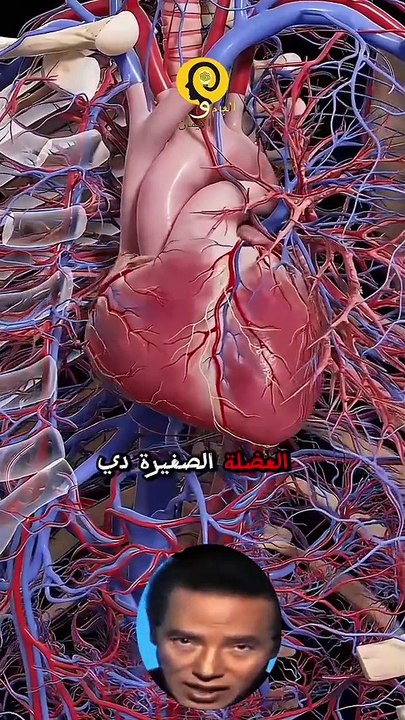 معلومات عامه