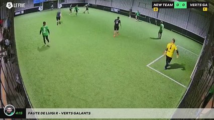 Faute de Luigi R - Verts Galants