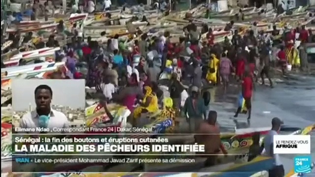La maladie mystérieuse qui touchait les pêcheurs identifiée