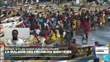 La maladie mystérieuse qui touchait les pêcheurs identifiée
