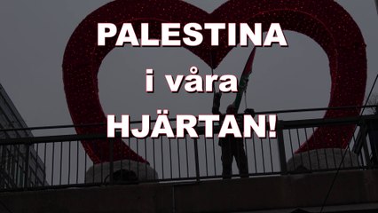 Palestina i våra hjärtan på Stockholms gator varje lördag