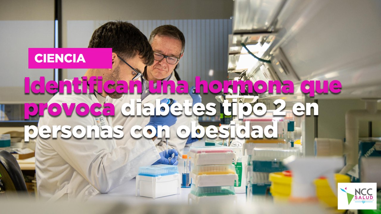 Identifican una hormona que provoca diabetes tipo 2 en personas con obesidad