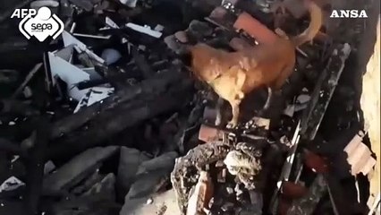 Esplosione dopo fuga di gas in una casa in Spagna, 17 feriti