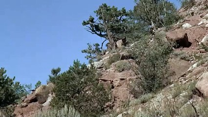 Relentless Pursuit  Ride In The Whirlwind Full Western Adventure Movie  Free Movie HD