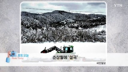 [포토오늘] 춘삼월에 '설국'  / YTN