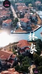 [Short Drama] Divorced, but a Tycoon Eng sub Full Movie