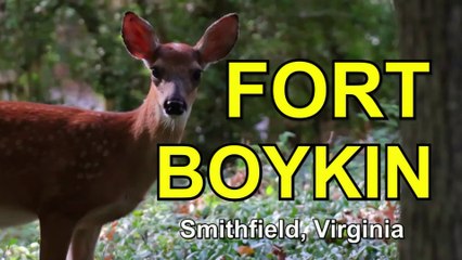 Exploring Fort Boykin's Mysterious Past in Smithfield VA
