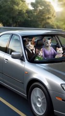 A poor Sad cat story 😞 😭