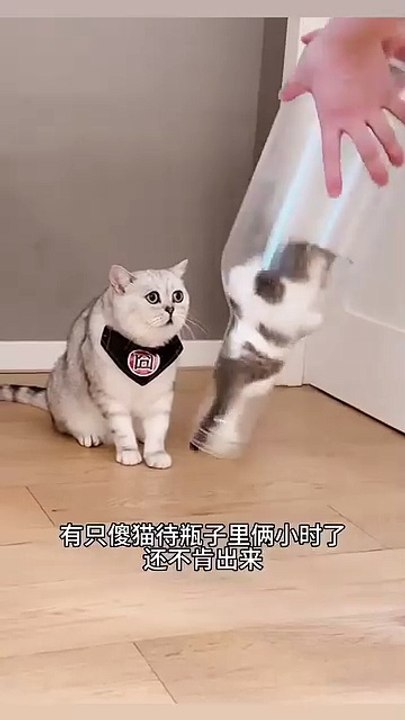 Nhìn mặt cha kia😩