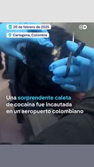 Descabellado intento de tráfico de drogas ¡En una peluca!