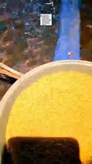 Oplos pakan protein RENDAH dengan pakan protein TINGGI untuk menekan biaya