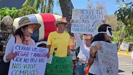 Vecinos disfrazados de animales exigen a automovilistas que bajen la velocidad en López Mateos
