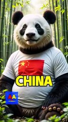 Animals by Countries _animals _viralvideo _viralshort _animalvideos _ai _aivideo _1millionviews _usa)