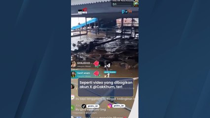 Akibat Banjir Besar, Puluhan Sapi Ternak di Bekasi Terendam Air