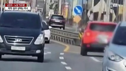 남양주서 노원까지 역주행 등 난폭운전 20대 검거 / YTN