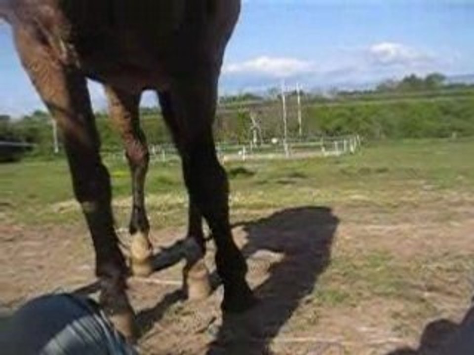 Diva bisouilles ^^