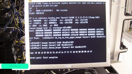 Skąd wzięły się najpopularniejsze błędy?