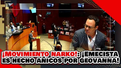 ¡MOVIMIENTO DE NARKOS! ¡GATO de PEDANTE DELGADO es HECHO AÑICOS por la SENADORA GEOVANNA BAÑUELOS!