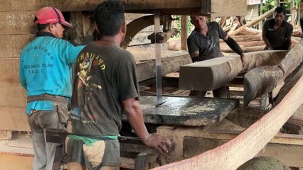 Precision Steps of Cutting 2x20 Wood in Sawmill