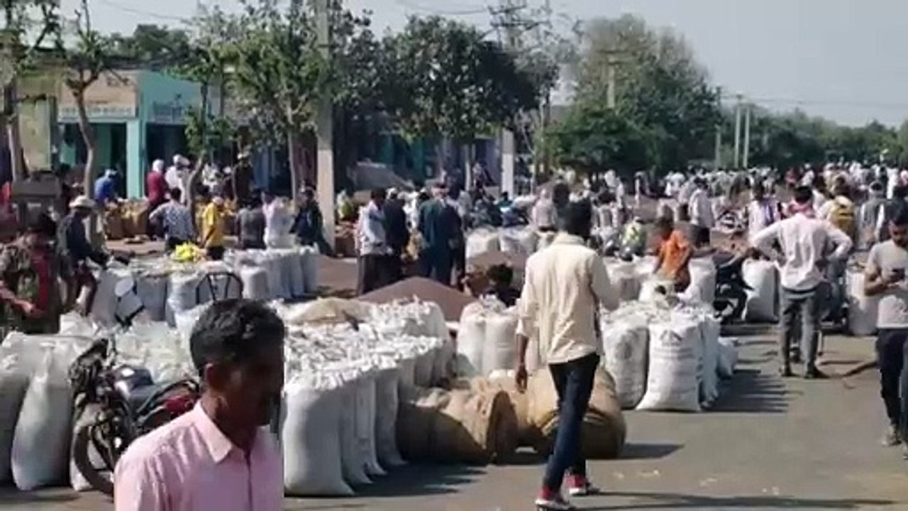सरसों के 25 हजार कट्टों की आवक, मंडी में 6 करोड़ रुपए का हुआ कारोबार