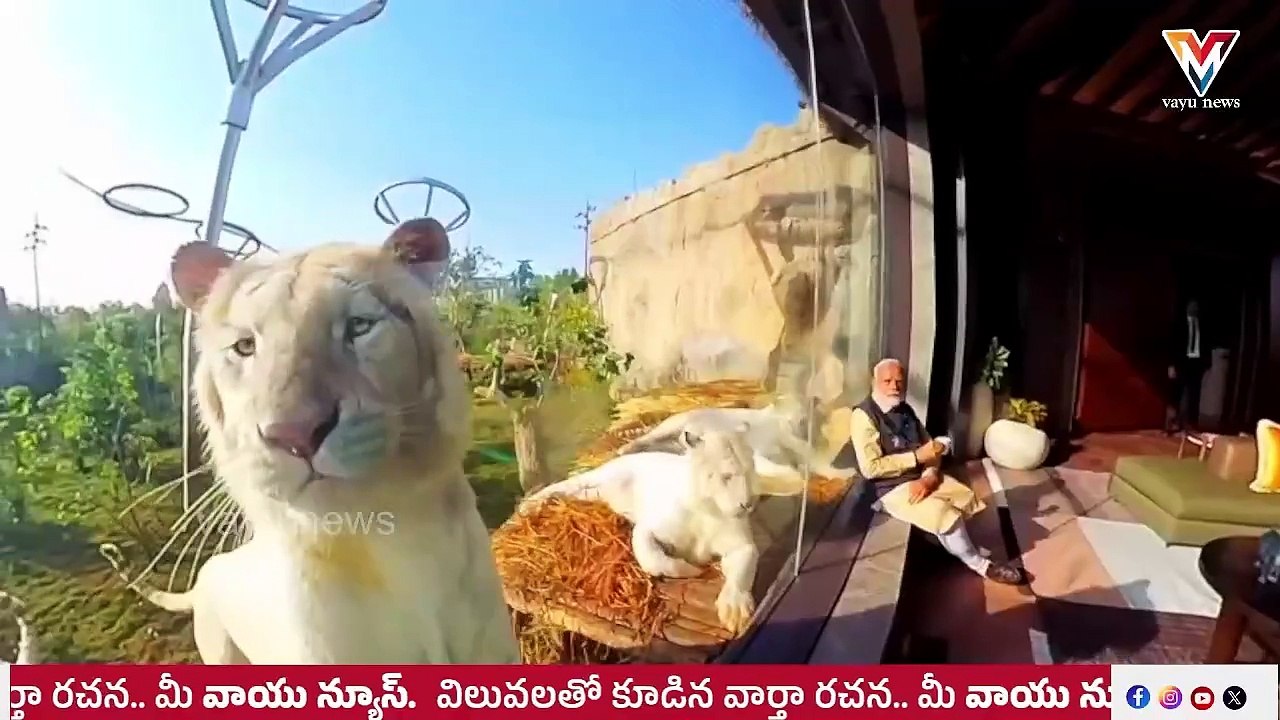 PM Modi Inaugurates Vantara | India's Biggest Wildlife Rescue Centre | Vayu News Telugu