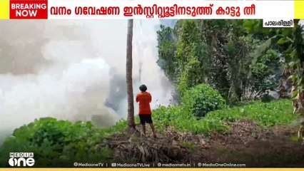 തൃശൂർ പാലപ്പിള്ളി റേഞ്ചിലെ കവരംപ്പിള്ളികുന്നിൽ കാട്ടുതീ; അണയ്ക്കാൻ ശ്രമം | Thrissur fire