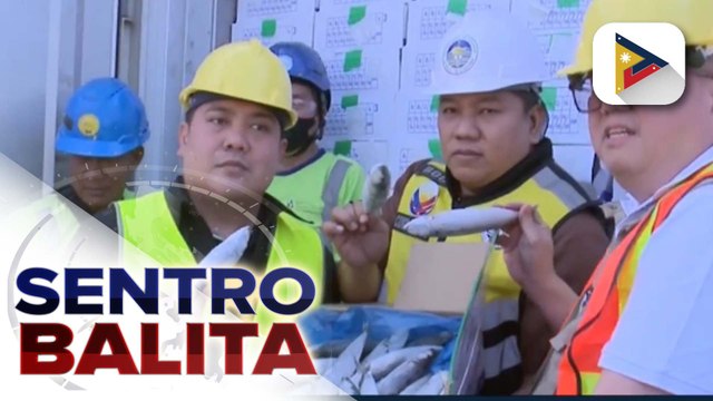 Mga nasa likod ng nakumpiskang P200-M na halaga ng mga smuggled na frozen mackerel ...