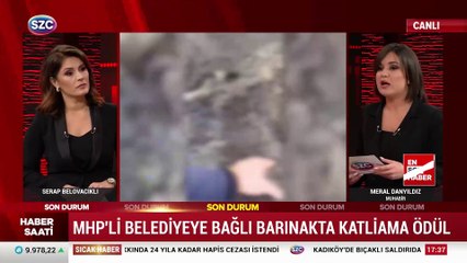 Osmaniye Belediyesi, köpeklerin toplatılması için yeni bir yöntem geliştirdi