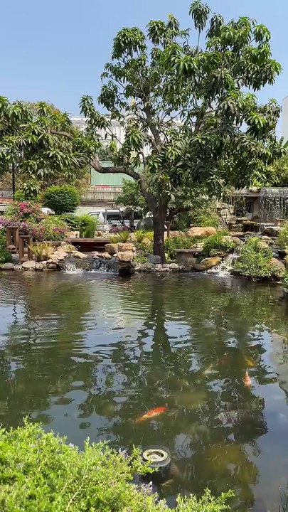 Aquarium