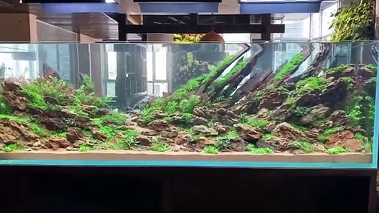Aquarium