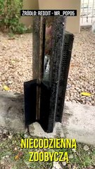 Gracz poszedł nad staw i WYŁOWIŁ RZADKIE PlayStation 3