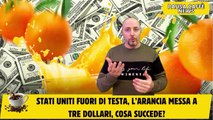 Stati Uniti fuori di testa, l’arancia messa a tre dollari, cosa succede