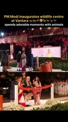 PM Modi visited Vantara in Jamnagar Gujarat 💝♾️💒   #AnantRadhikaCelebration #ARWeddingCelebrations #AnantRadhikaWedding #anantandradhika #anantambaniwedding #anantwedsradhika #AnantRadhika #radhikamerchant #anantambaniradhikamerchantwedding #AnantRadhik