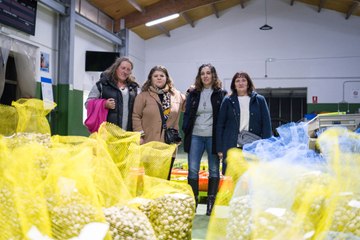 Las cuatro únicas mujeres al frente de cofradías pesqueras en Galicia