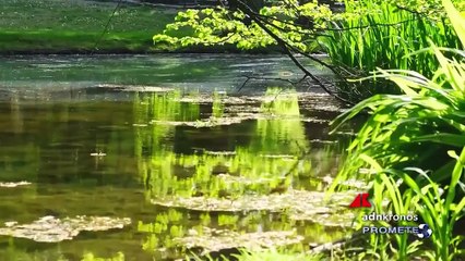 Prometeo tv n° 9 del 5 marzo 2025