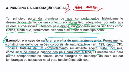 5 Princípios gerais do Direito Penal Parte III