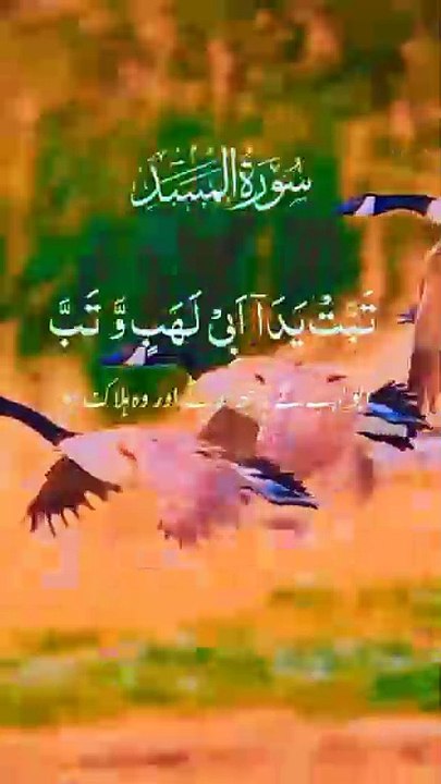 #quranurdu #quran #quranverses #quranayat #quranrecitation #islam #urdu #allah #quransayings #qurankareem #hadith #urdupoetry #quranonline #surah #quranquotes #holyquran #islamicquotes #islamic #urdulines #quranmajeed #quranpakkitilawat #quransharif #tila