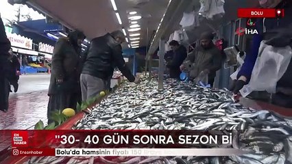 Bolu'da hamsinin fiyatı 150 liraya kadar düştü