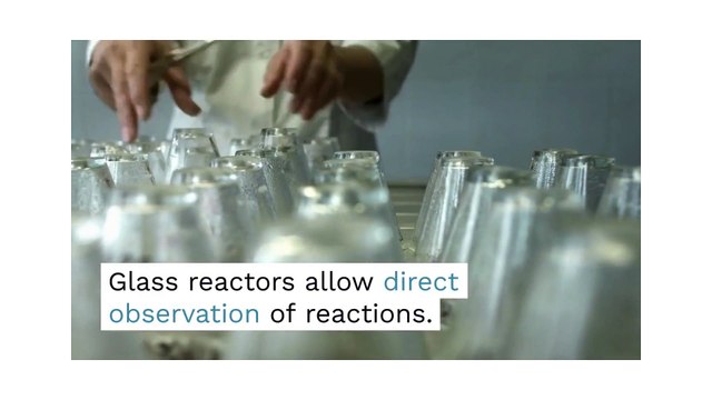 Jacketed Glass Reactors vs. Stainless Steel Reactors Key Differences