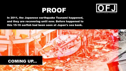 IS it ANOTHER SIGN of END TIMES or…?- OARFISH | DOOMSDAY