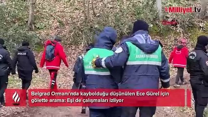 Peyzaj mimarı Ece'den 2 gündür haber alınamıyor! Belgrad Ormanı'nda sıcak dakikalar