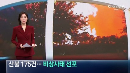 美 사우스캐롤라이나 주, 산불 175건…비상사태 선포