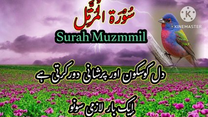 surah Muzammil beautiful recitation surah Al Muzammil