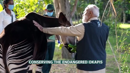 PM Modi inaugurates Vantara in Jamnagar, Gujarat